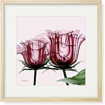 薔薇の絵画　縦32センチ橫26センチ 61c+HbmUYQL._AC_UL210_SR210,